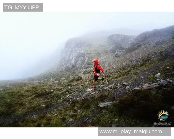 探寻北京排球队的耐力秘境与训练背后的故事