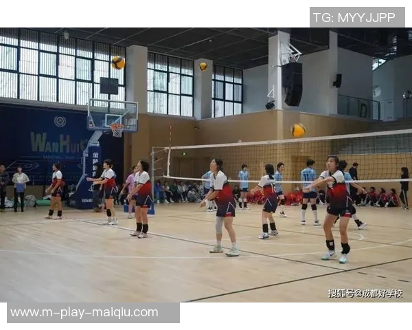 体育实时数据成都排球队在排球配合上取得历史新高展现团队实力与创新精神